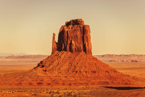 Quelles tendances et opportunités futures façonnent le paysage de la formation professionnelle ?