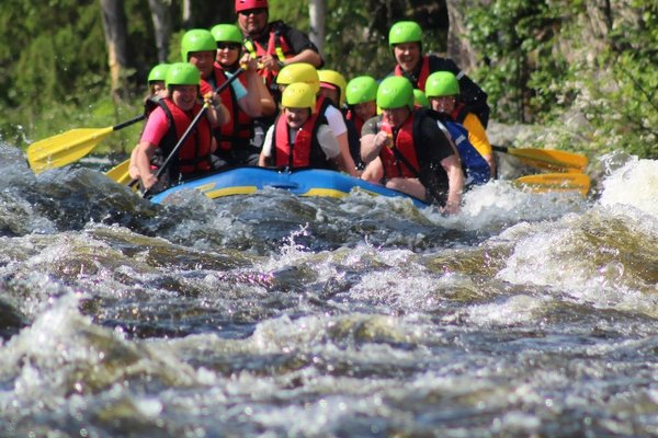 Quelle est l'activité d'une entreprise commerciale ?